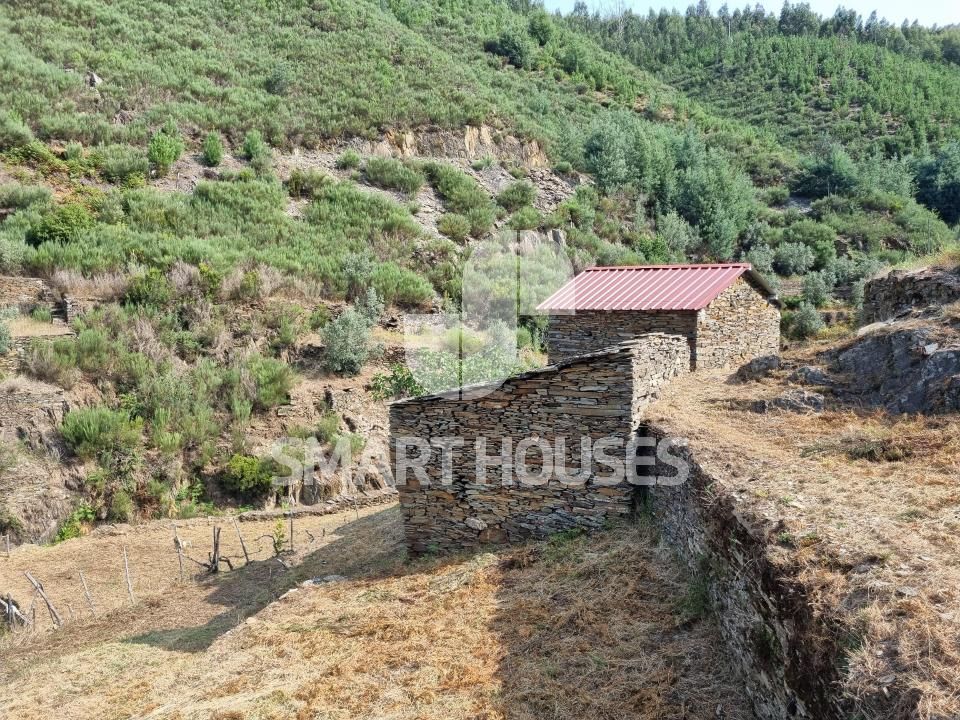 Farm i Benfeita, Coimbra - foto 3