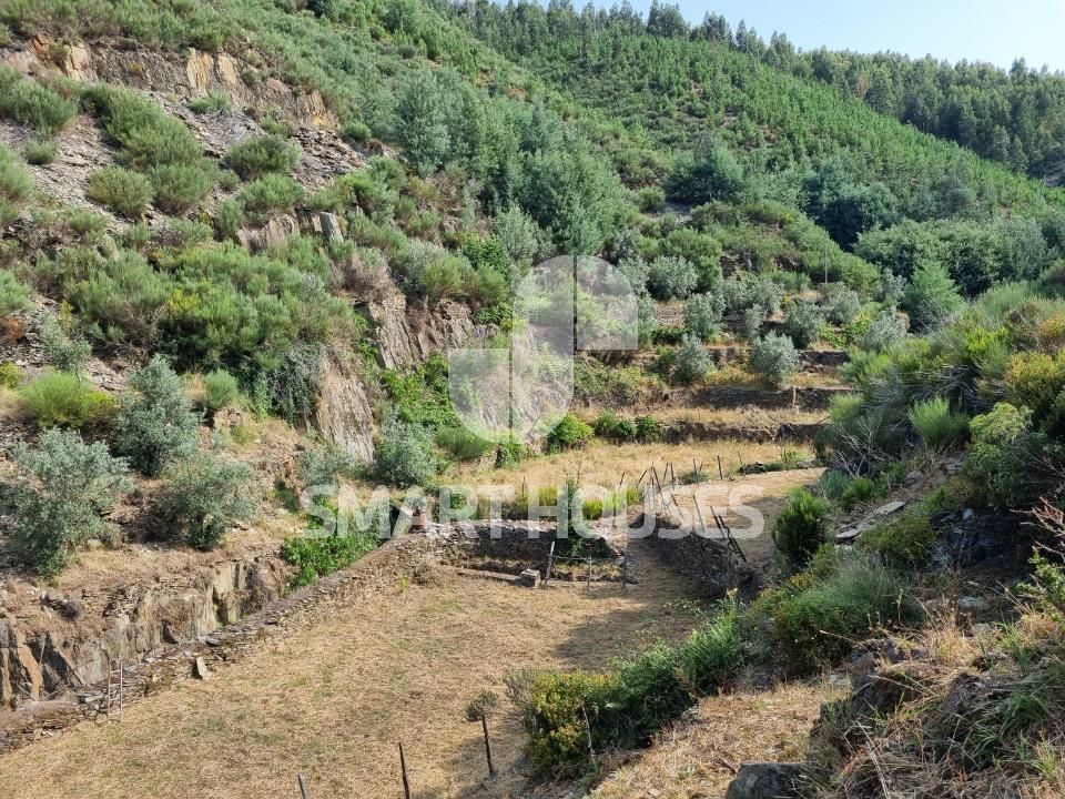 Farm i Benfeita, Coimbra - foto 4