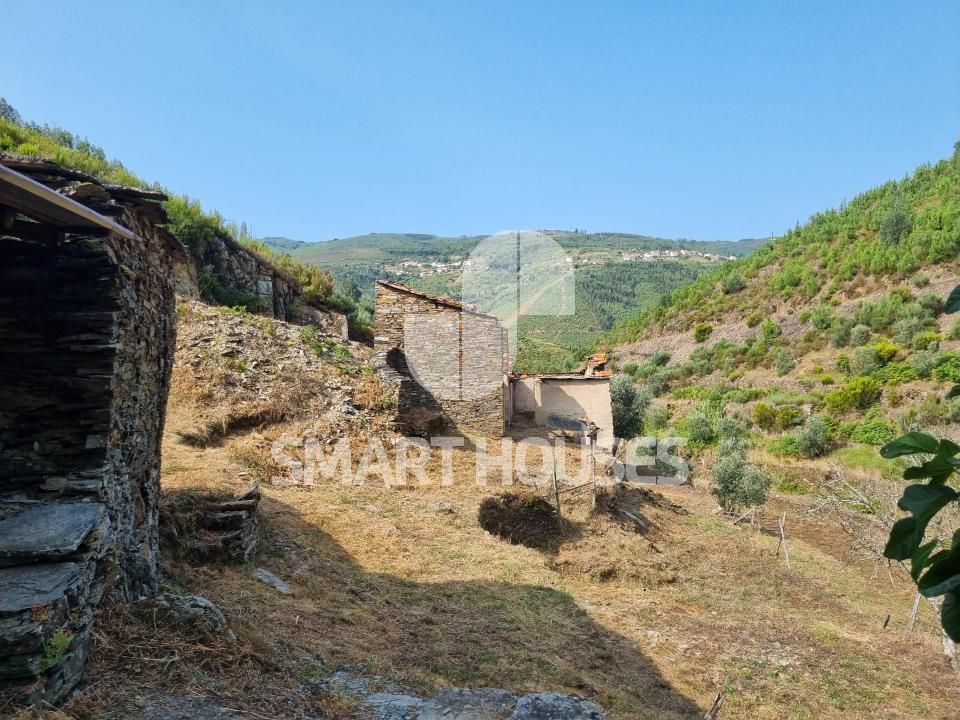 Farm i Benfeita, Coimbra - foto 5