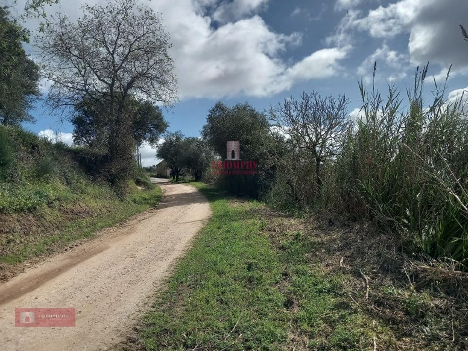Helårsgrund i Caldas da Rainha, Leiria - foto 1
