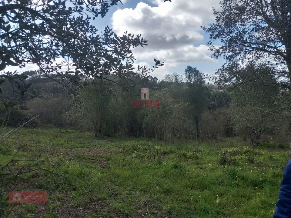 Helårsgrund i Caldas da Rainha, Leiria - foto 3