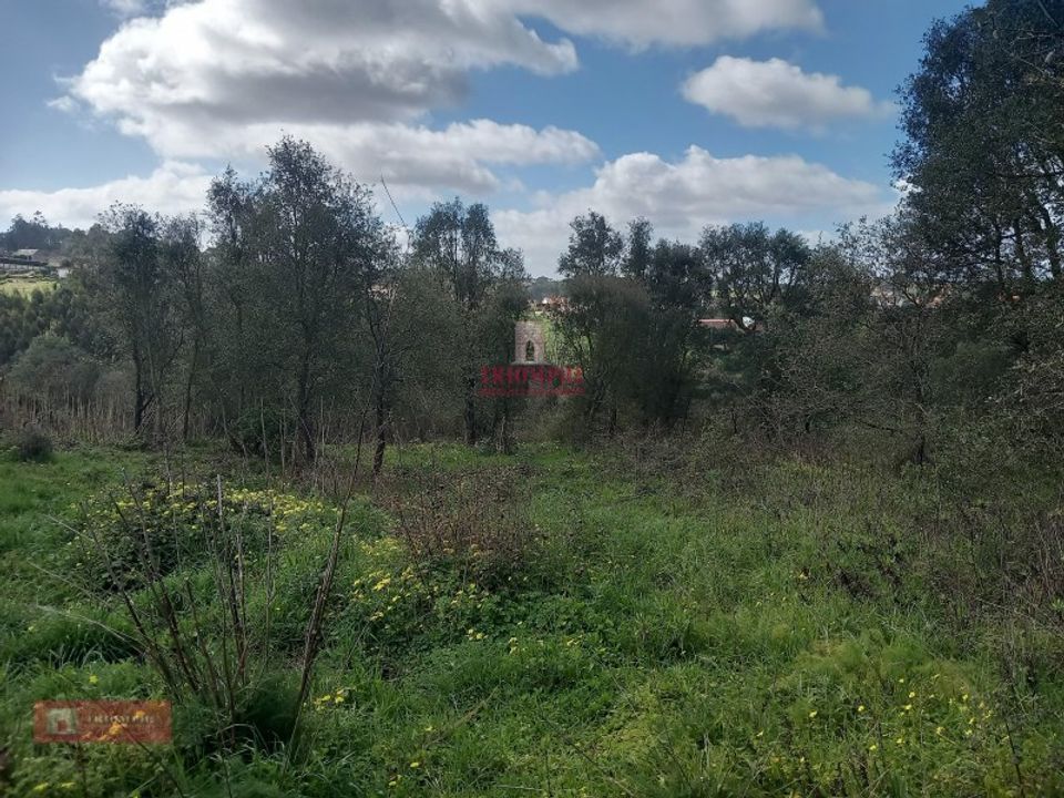 Helårsgrund i Caldas da Rainha, Leiria - foto 4