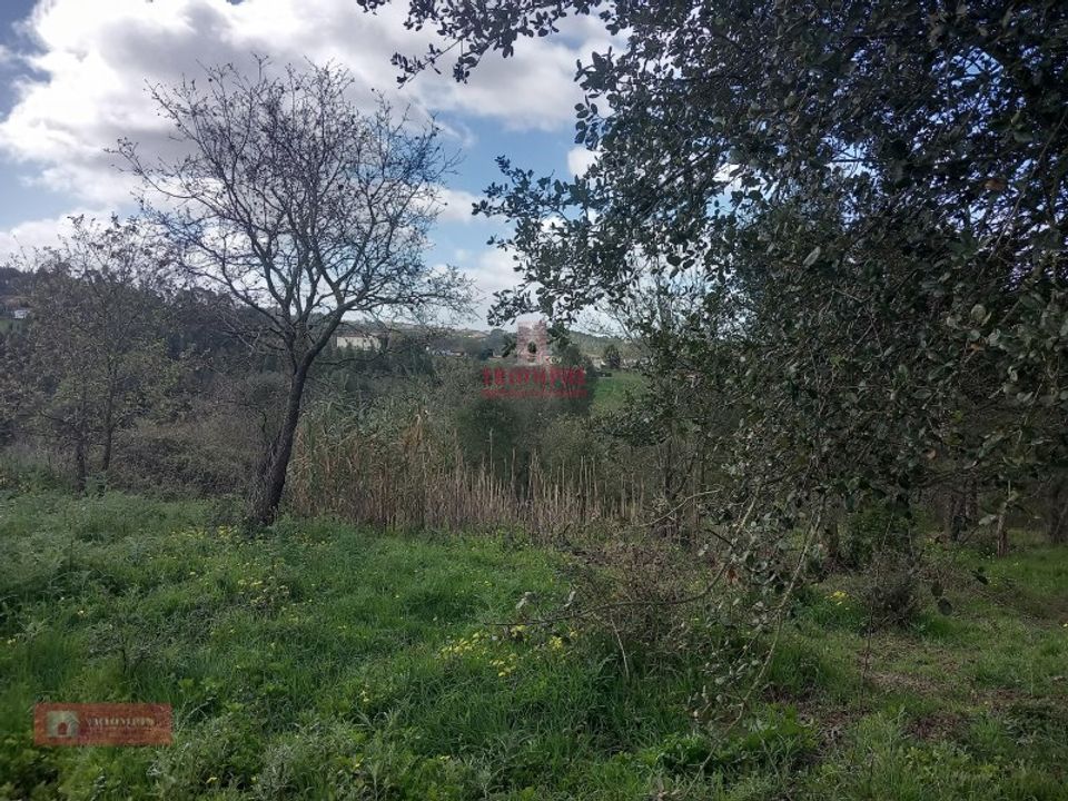 Helårsgrund i Caldas da Rainha, Leiria - foto 5