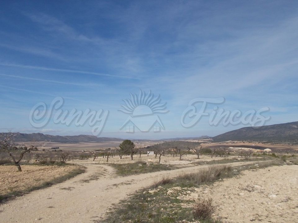 Helårsgrund i Yecla, Murcia - foto 1