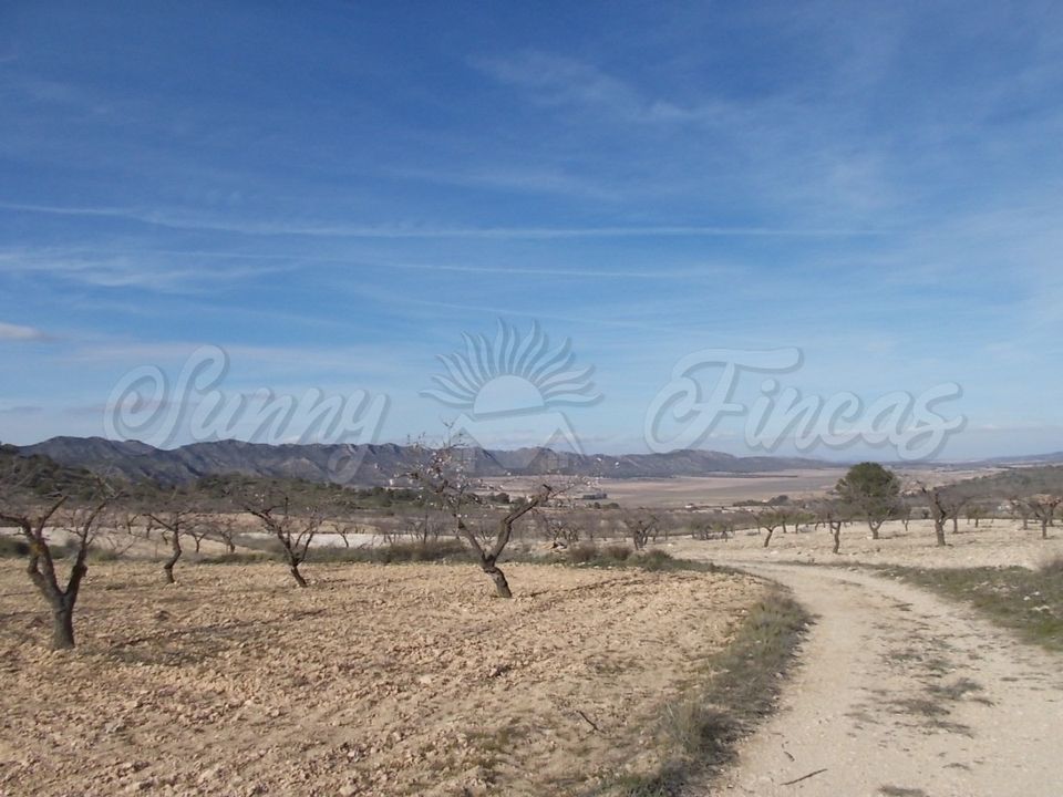 Helårsgrund i Yecla, Murcia - foto 5