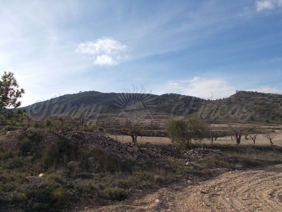 Helårsgrund i Yecla, Murcia - foto 3