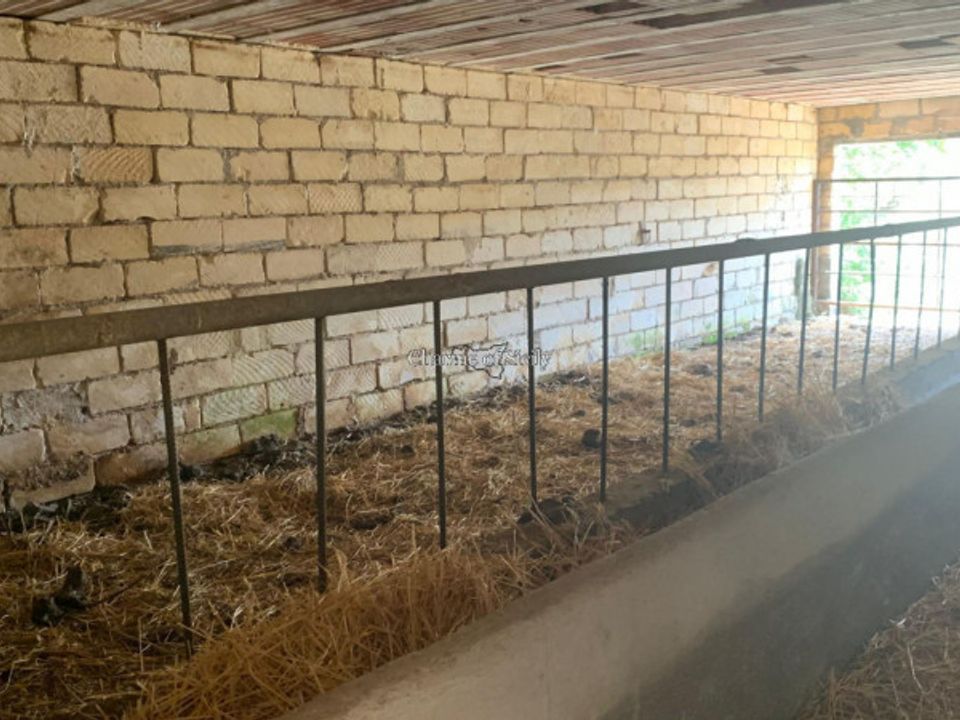 Landejendom i Ragusa, Ragusa - foto 3