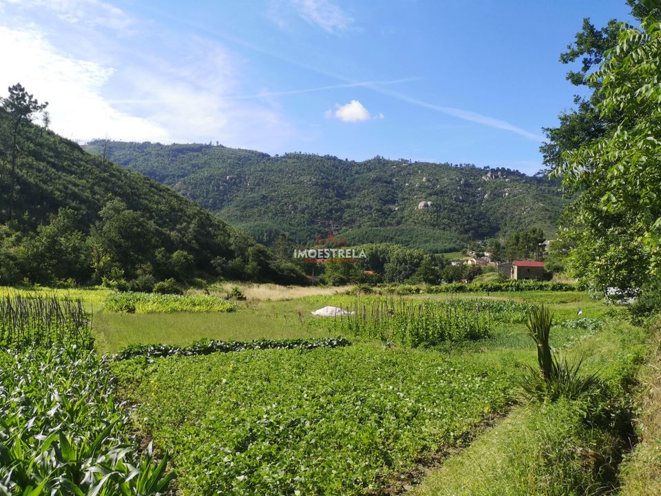 Farm i Seia, Guarda - foto 3