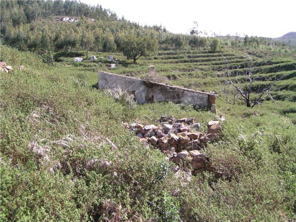 Farm i Monchique, Faro - foto 3