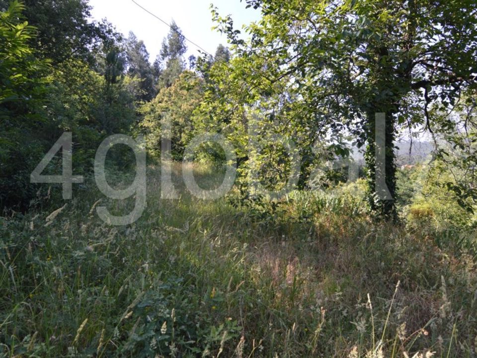 Villa in Sever do Vouga, Aveiro - foto 4