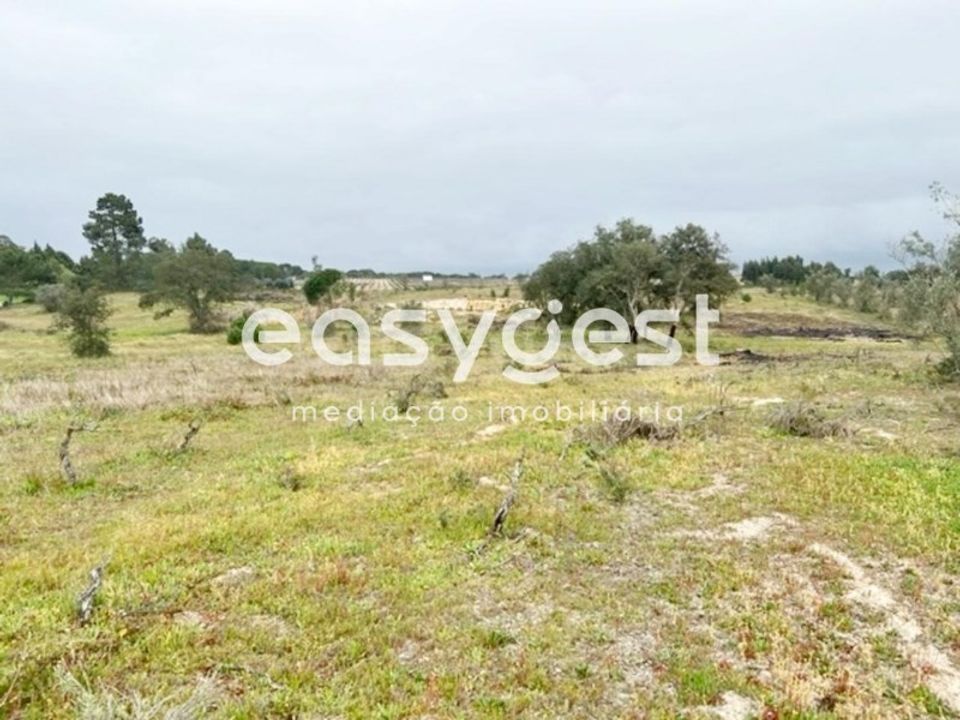 Helårsgrund i Palmela, Setubal - foto 4