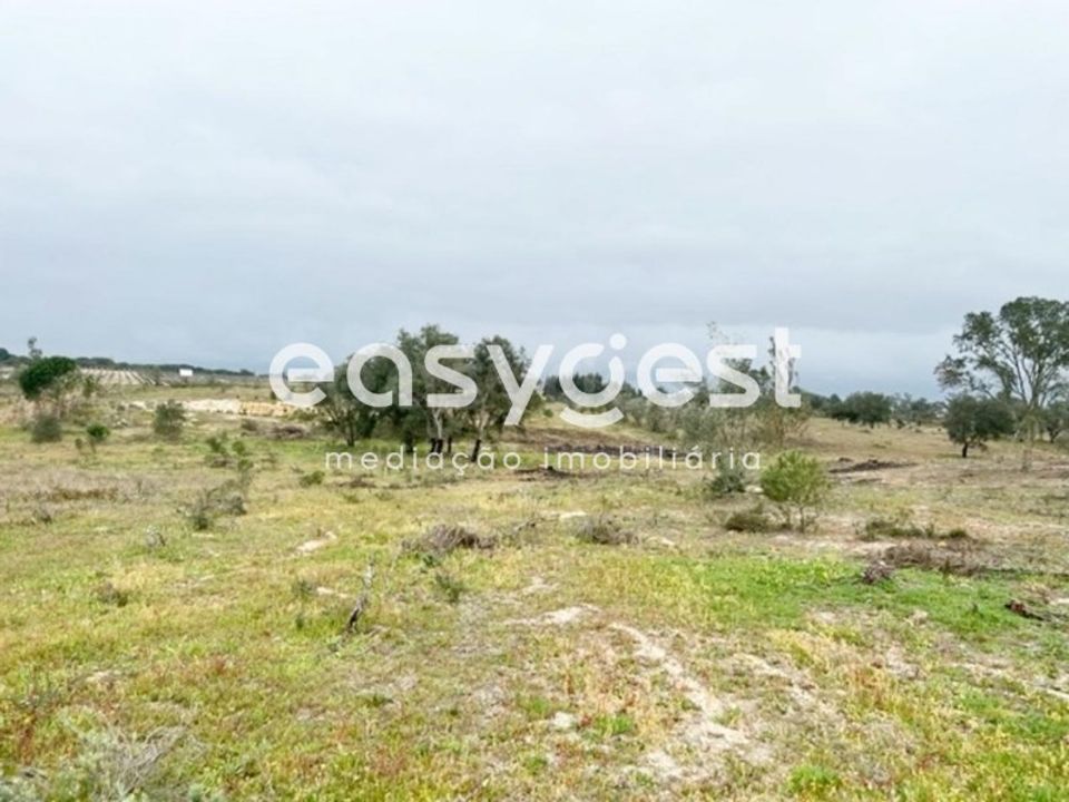 Helårsgrund i Palmela, Setubal - foto 5