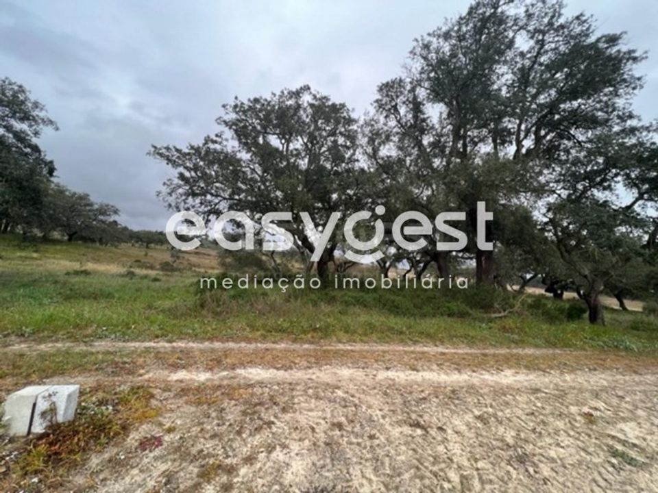 Helårsgrund i Palmela, Setubal - foto 2