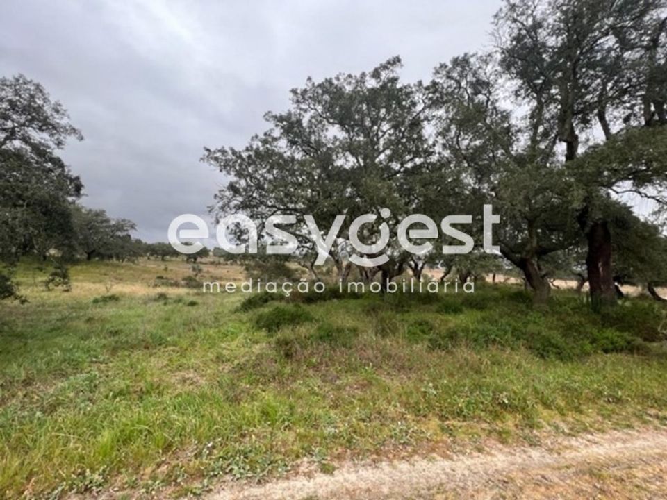 Helårsgrund i Palmela, Setubal - foto 3
