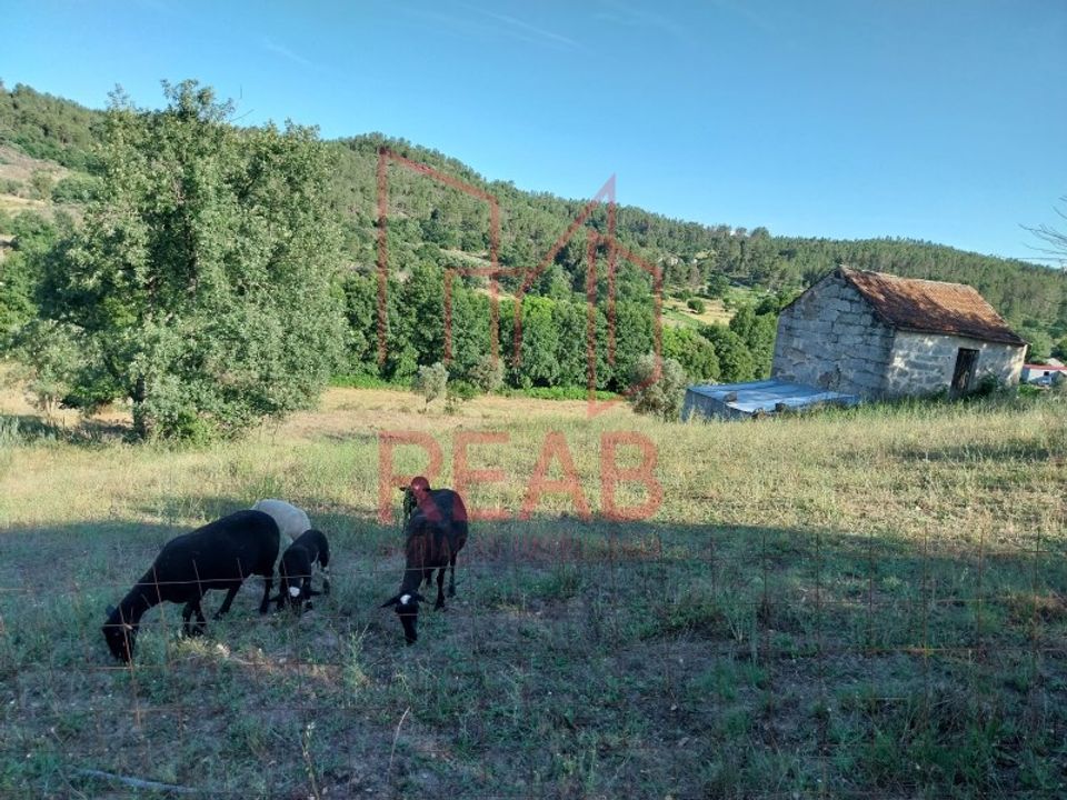 Tomt i Boticas, Vila Real - foto 1