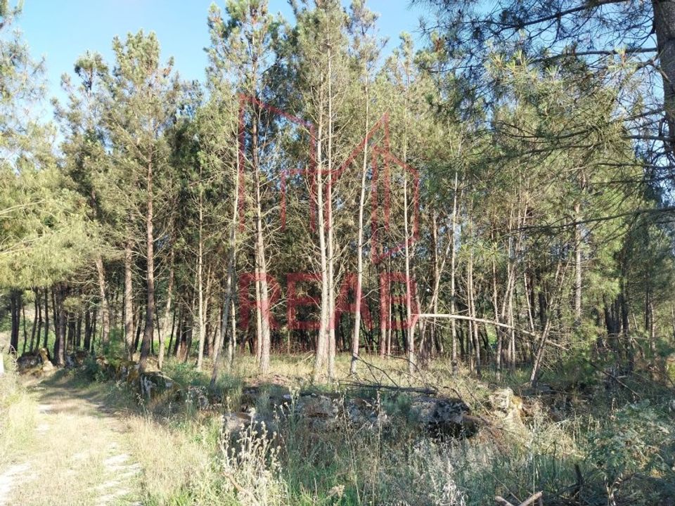 Tomt i Boticas, Vila Real - foto 3