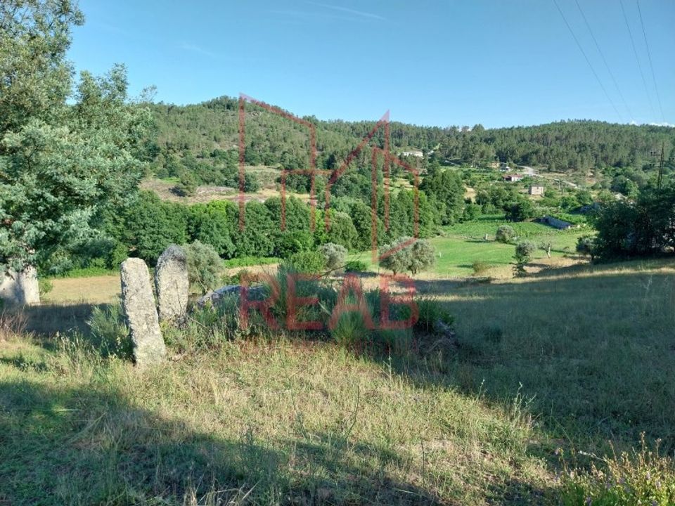 Tomt i Boticas, Vila Real - foto 5