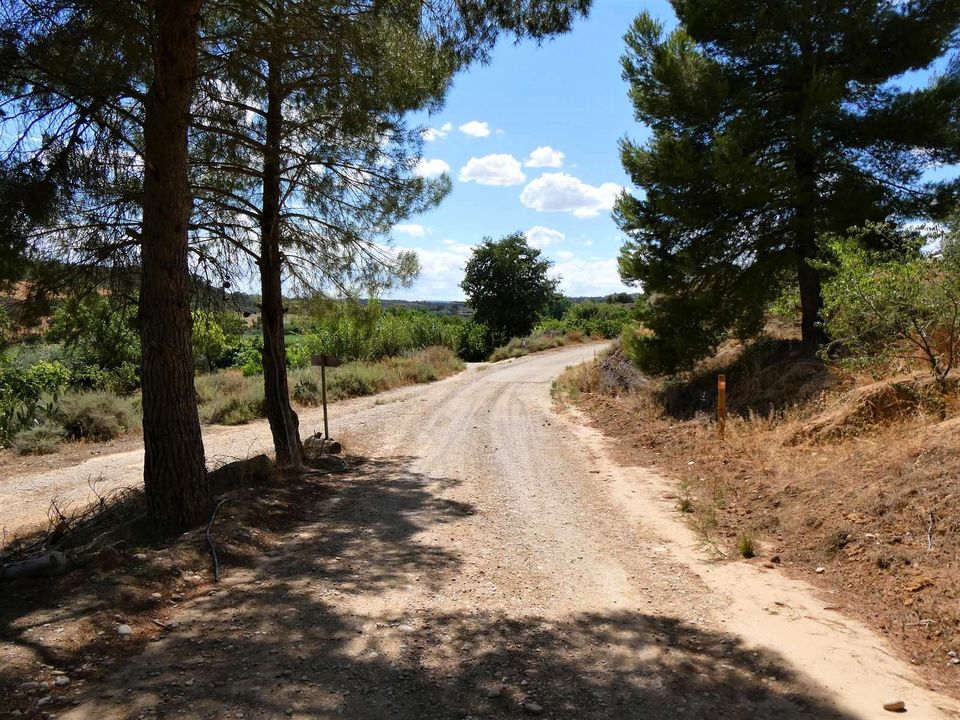 Finca i Caspe, Zaragoza - bilde 2