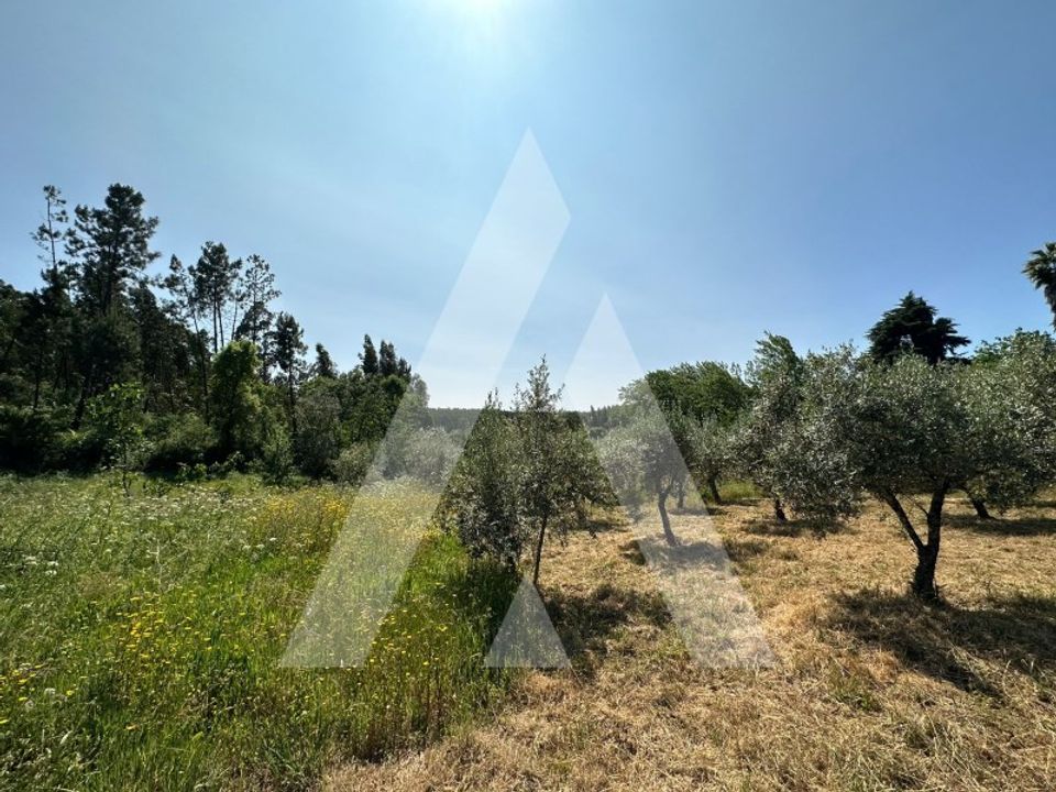 Helårsgrund i Alvaiazere, Leiria - foto 3