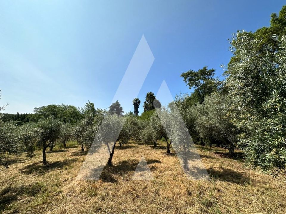 Helårsgrund i Alvaiazere, Leiria - foto 5