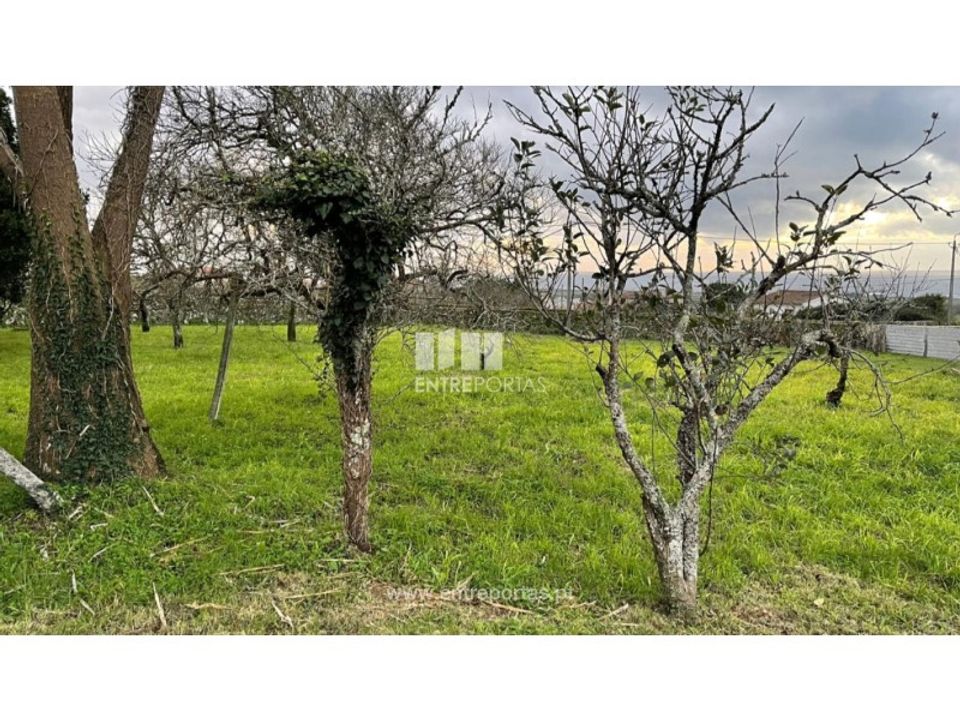 Helårsgrund i Areosa, Viana do Castelo - foto 3