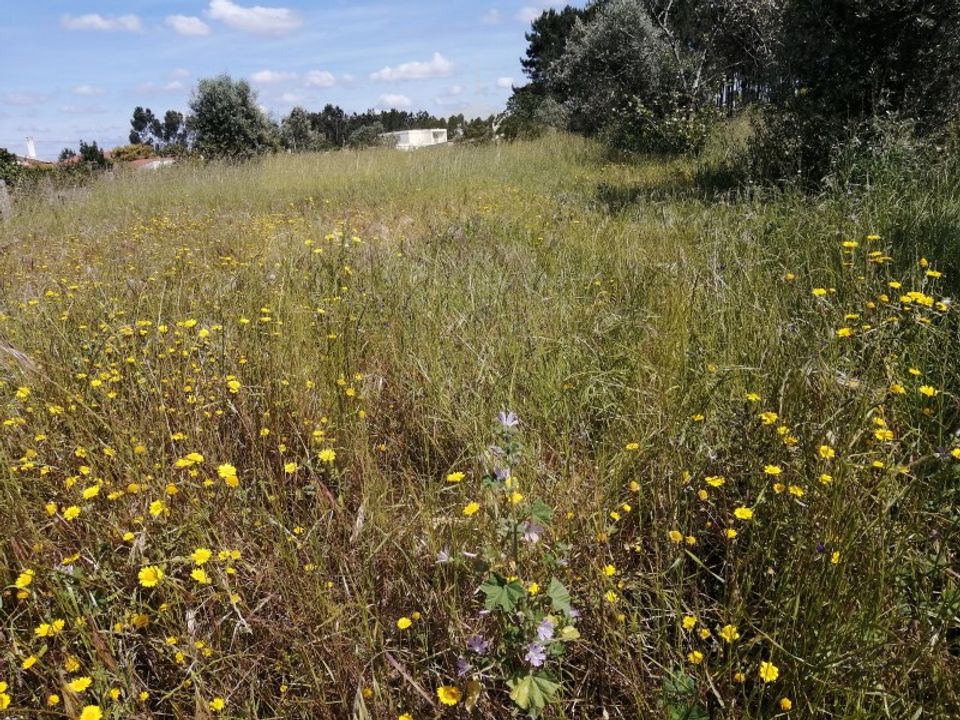 Helårsgrund i Pombal, Leiria - foto 1