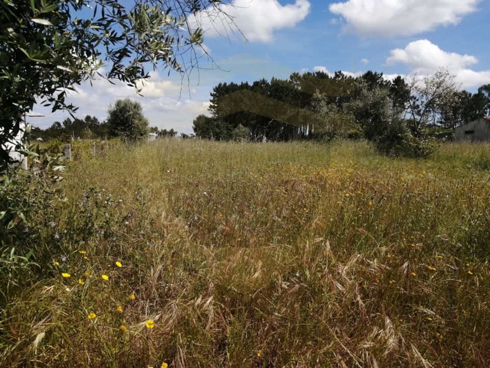 Helårsgrund i Pombal, Leiria - foto 2