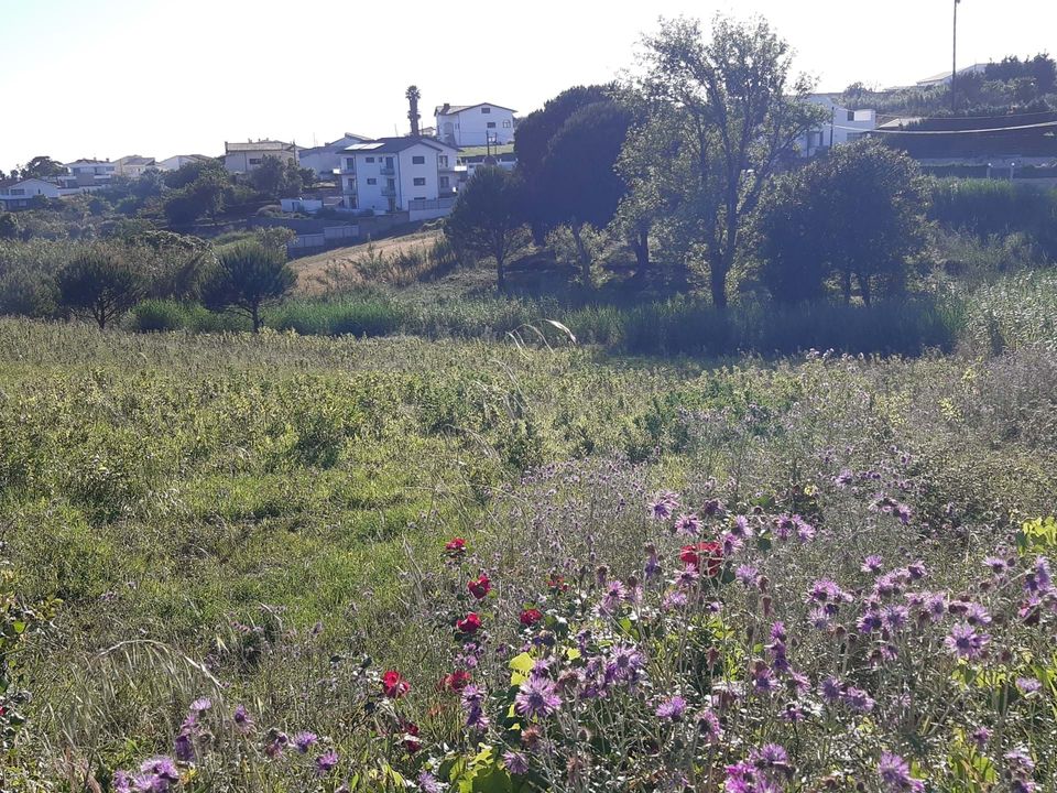 Helårsgrund i Buarcos, Coimbra - foto 2