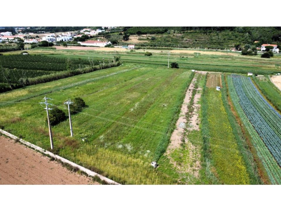 Helårsgrund i Alcobaca, Leiria - foto 2