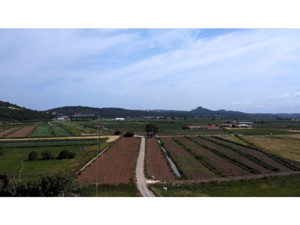Helårsgrund i Alcobaca, Leiria - foto 4