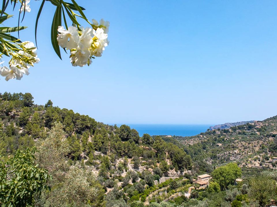 Finca i Deia, Mallorca - foto 5