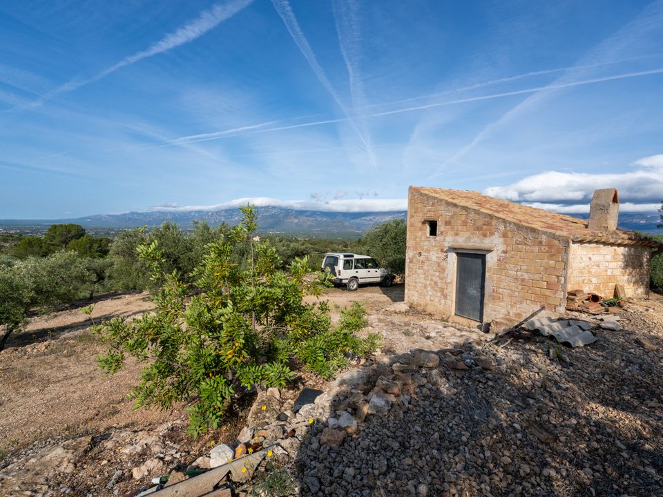 Finca i Tortosa, Tarragona - foto 3