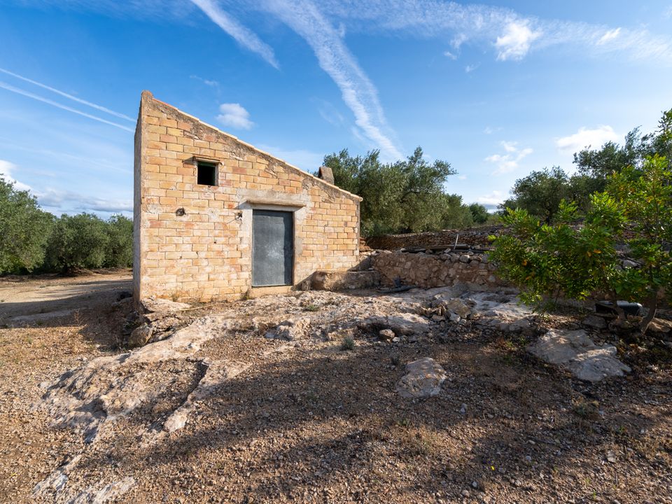 Finca i Tortosa, Tarragona - foto 1