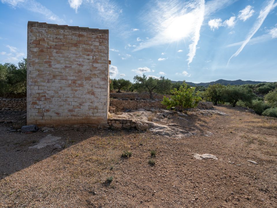 Finca i Tortosa, Tarragona - foto 5