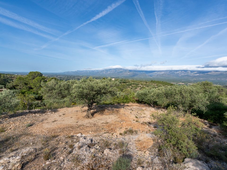 Finca i Tortosa, Tarragona - foto 4
