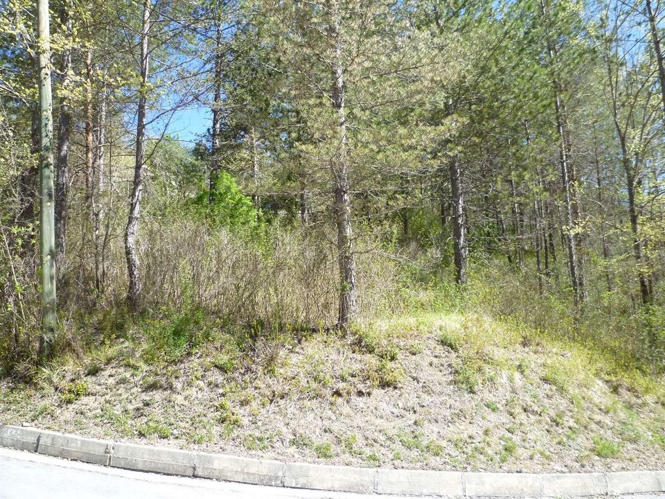 Terreno en Puget-Rostang, Alpes-Maritimes - foto 1