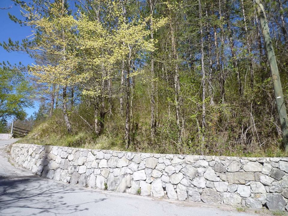 Terreno en Puget-Rostang, Alpes-Maritimes - foto 3