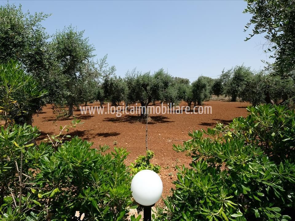 Villa i San Vito dei Normanni, Brindisi - foto 5