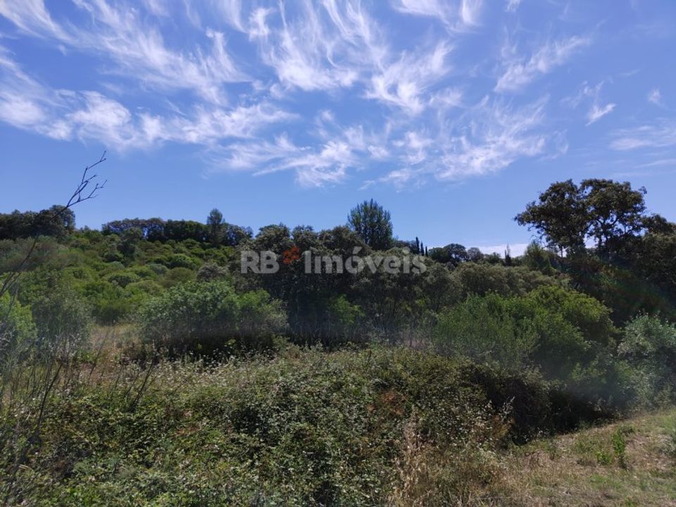 Helårsgrund i Torres Novas, Santarem - foto 1