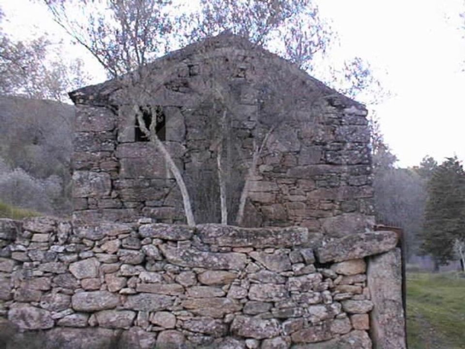 Gård i Pinho, Vila Real - foto 5