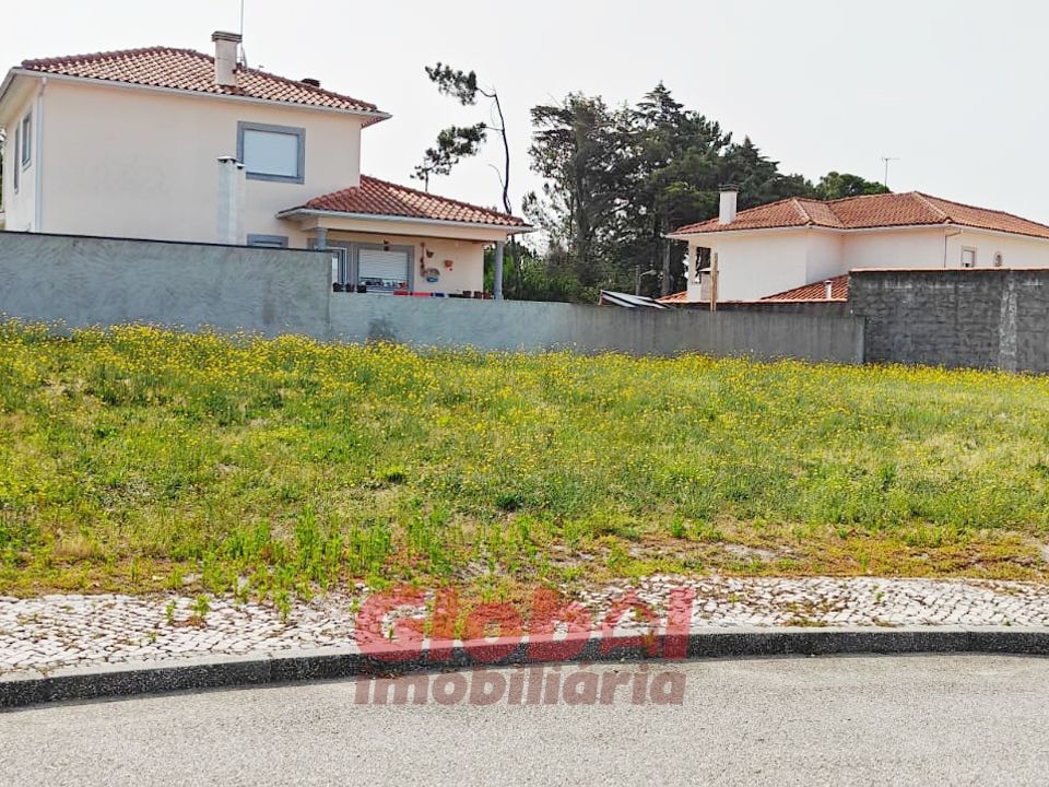 Terra em Mangualde, Viseu - foto 3