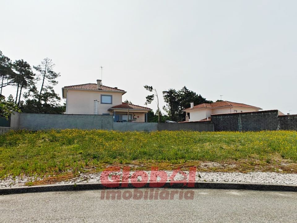 Terra em Mangualde, Viseu - foto 5