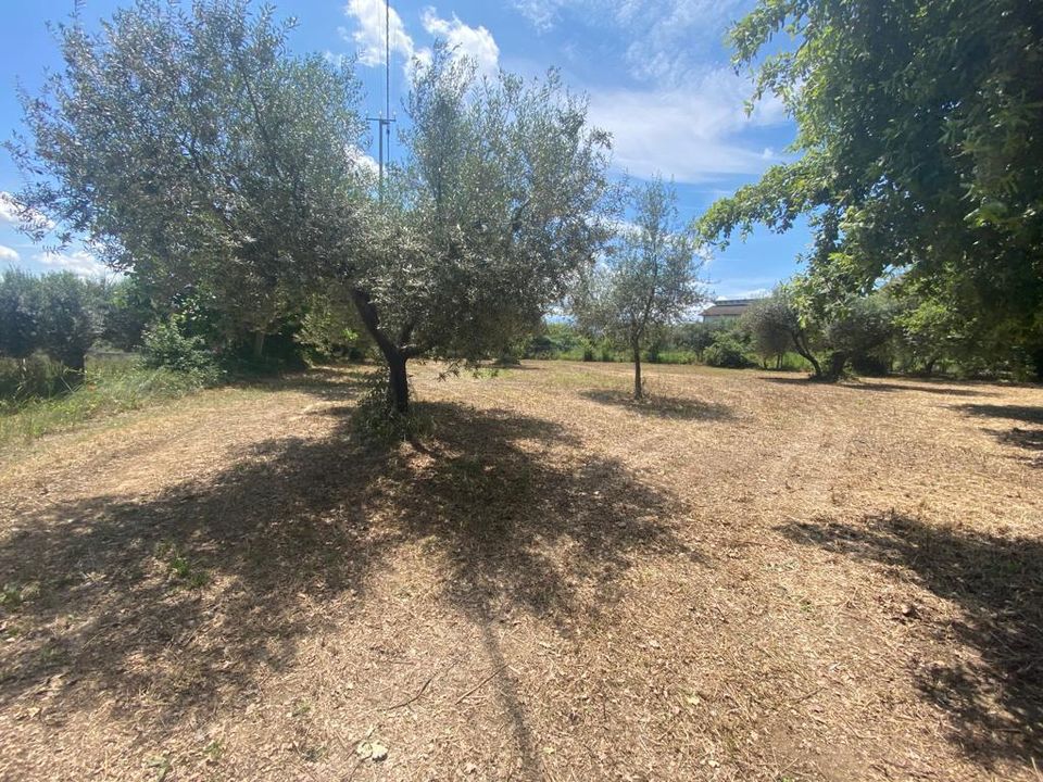 Erhvervsejendom i Cepagatti, Pescara - foto 4