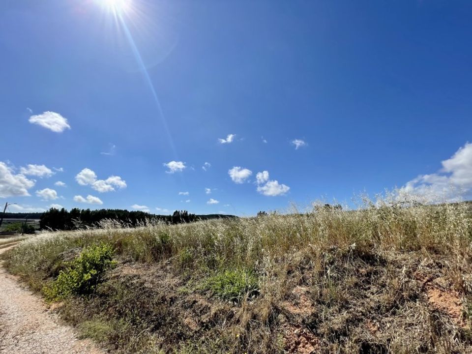 Helårsgrund i Torres Vedras, Lisbon - foto 4