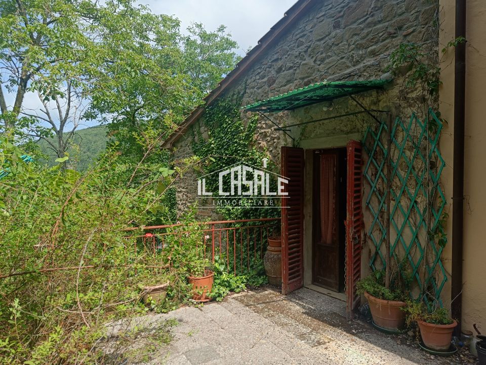 Villa i Londa, Florence - foto 1