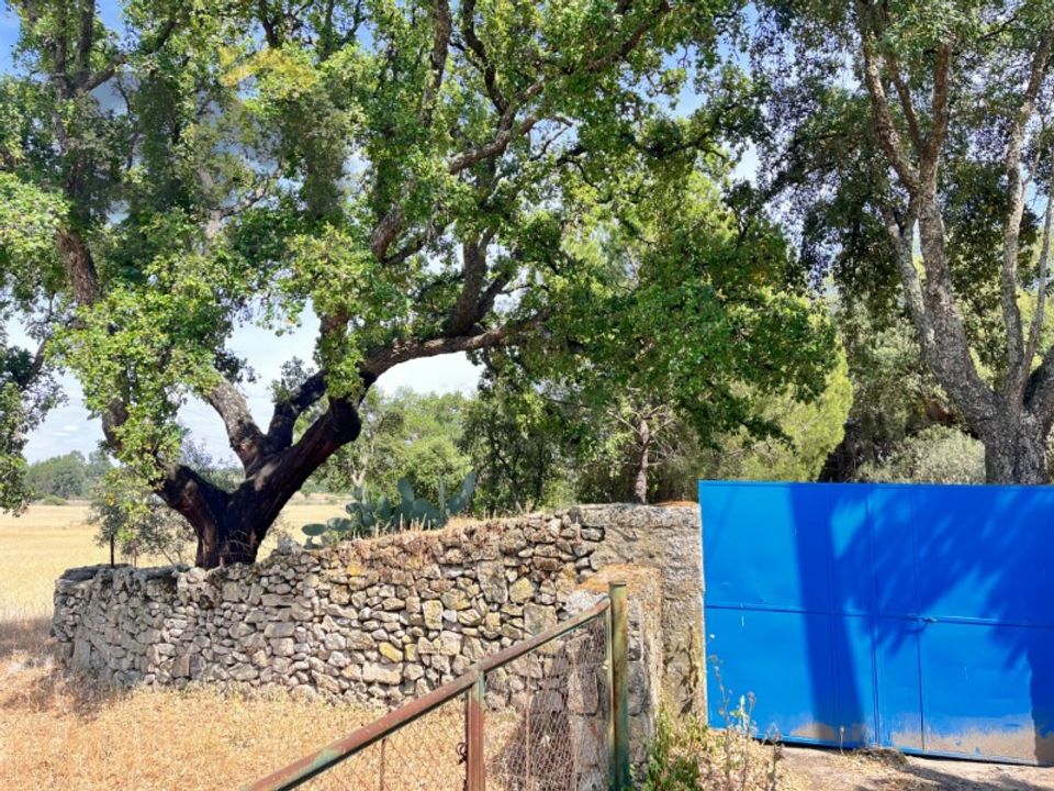 Terra a Alcains, Castelo Branco - foto 2