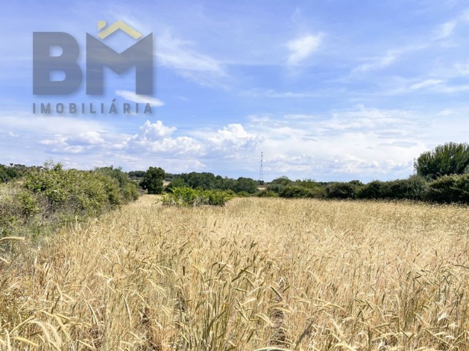 Terra a Alcains, Castelo Branco - foto 5