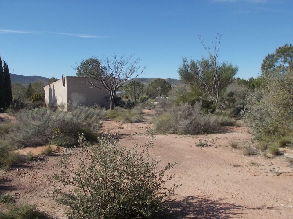 Finca i Yecla, Murcia - foto 2