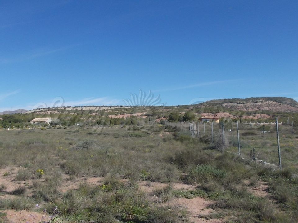 Finca i Yecla, Murcia - foto 4