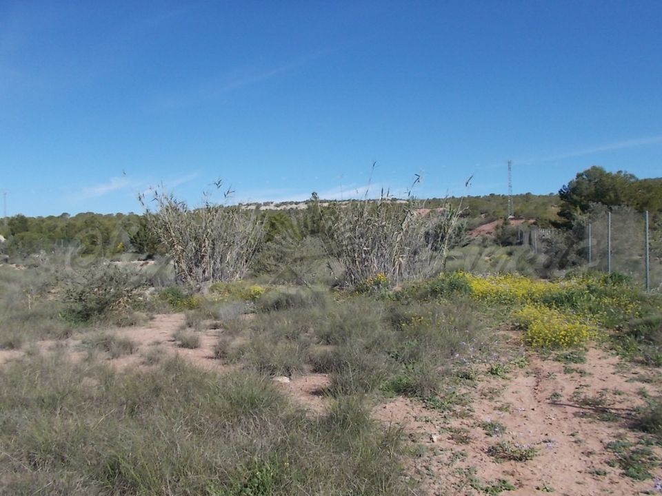 Finca i Yecla, Murcia - foto 5